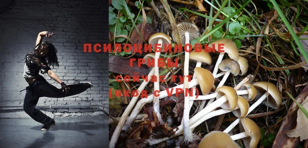 герыч Алзамай