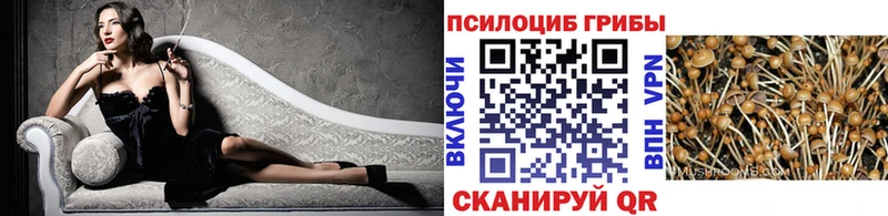 наркота  Новая Усмань  Псилоцибиновые грибы Cubensis 